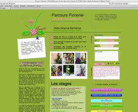 Site web